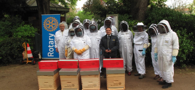 What Can One Club or District Do? Inspiring Pollinator Projects from Rotarians Worldwide